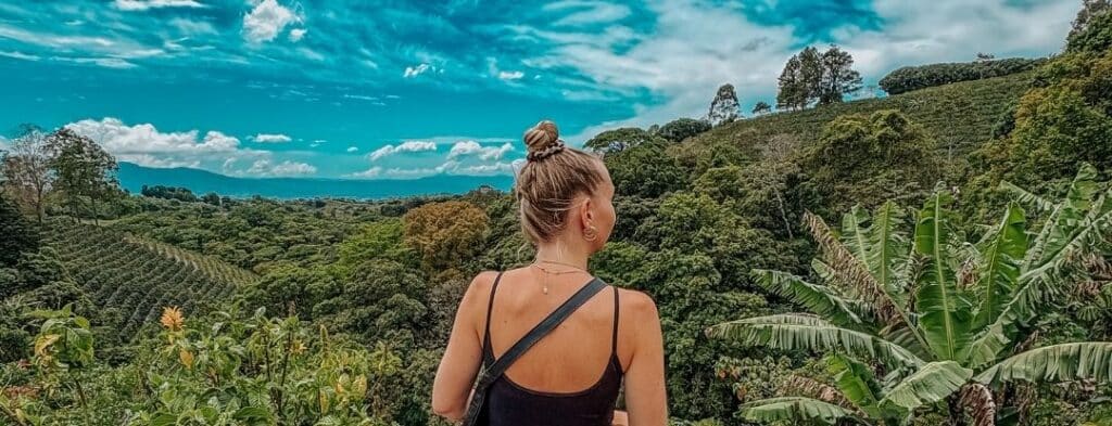 Notfallplan fear Food