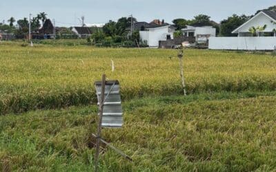 Warum Dein Körper sich verändern darf