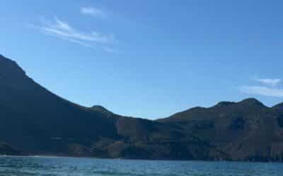 Wassereinlagerungen in der Recovery. Warum Dein Körper jetzt Wasser hält und wann es wieder weggeht